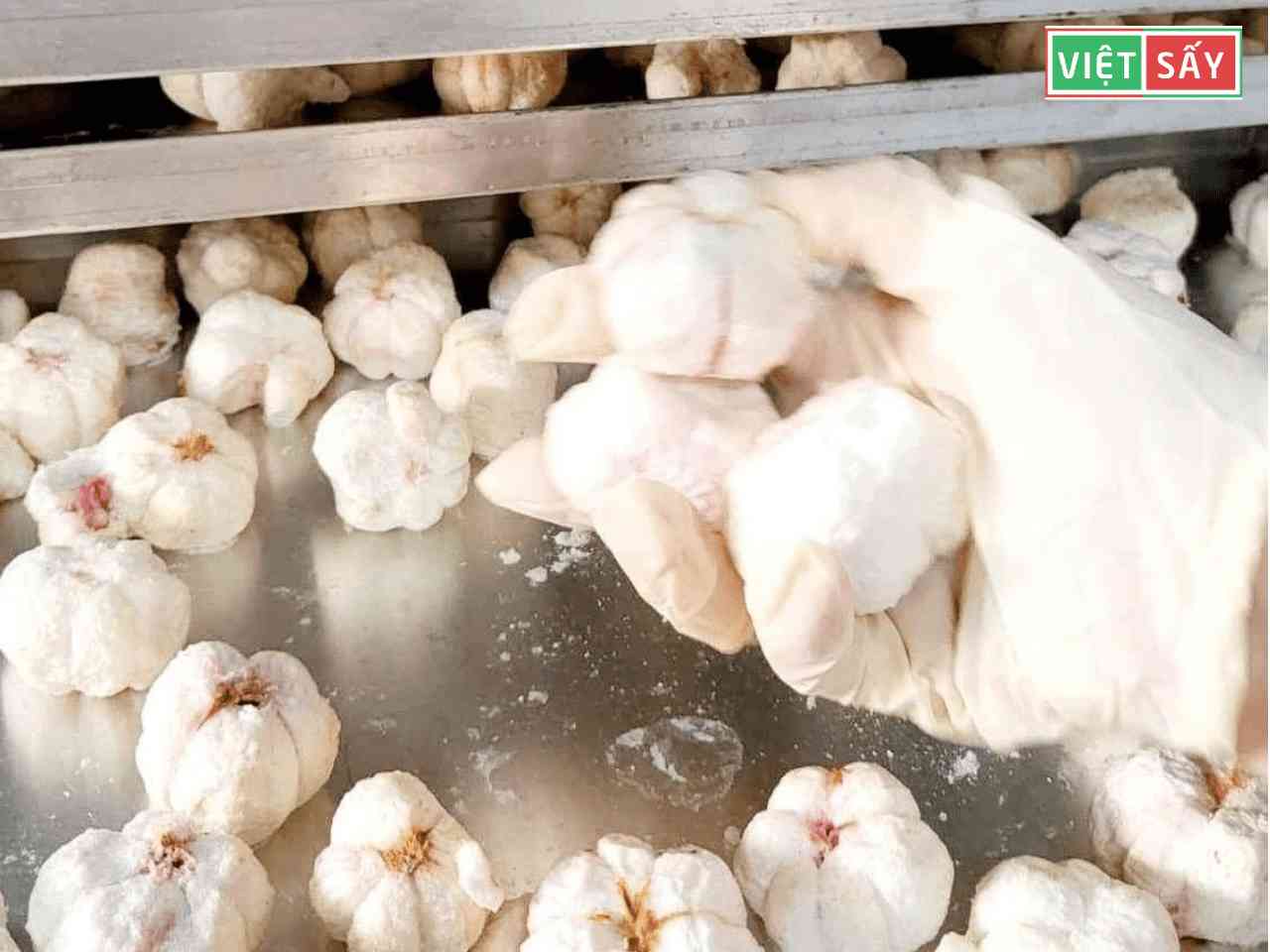 Mẫu măng cụt sấy thăng hoa cho khách hàng