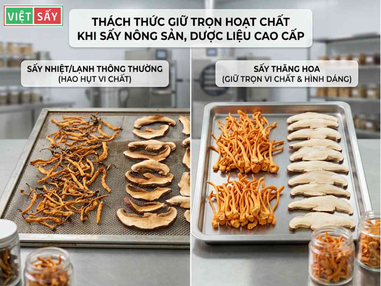 Sự khác biệt các công nghệ sấy thường và sấy thăng hoa