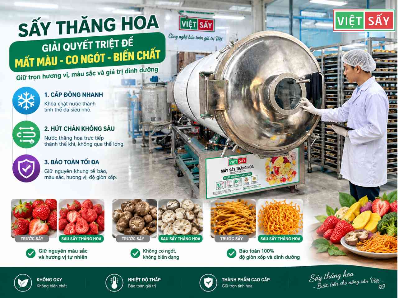 Hiện tượng mất màu, co ngót và biến chất thành phẩm xử lý bằng máy sấy thăng hoa như thế nào